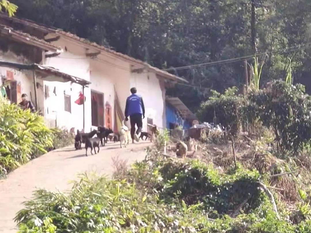 阳春房地一体项目纪实丨无悔青春多砥砺，，，，最是奋斗感人心