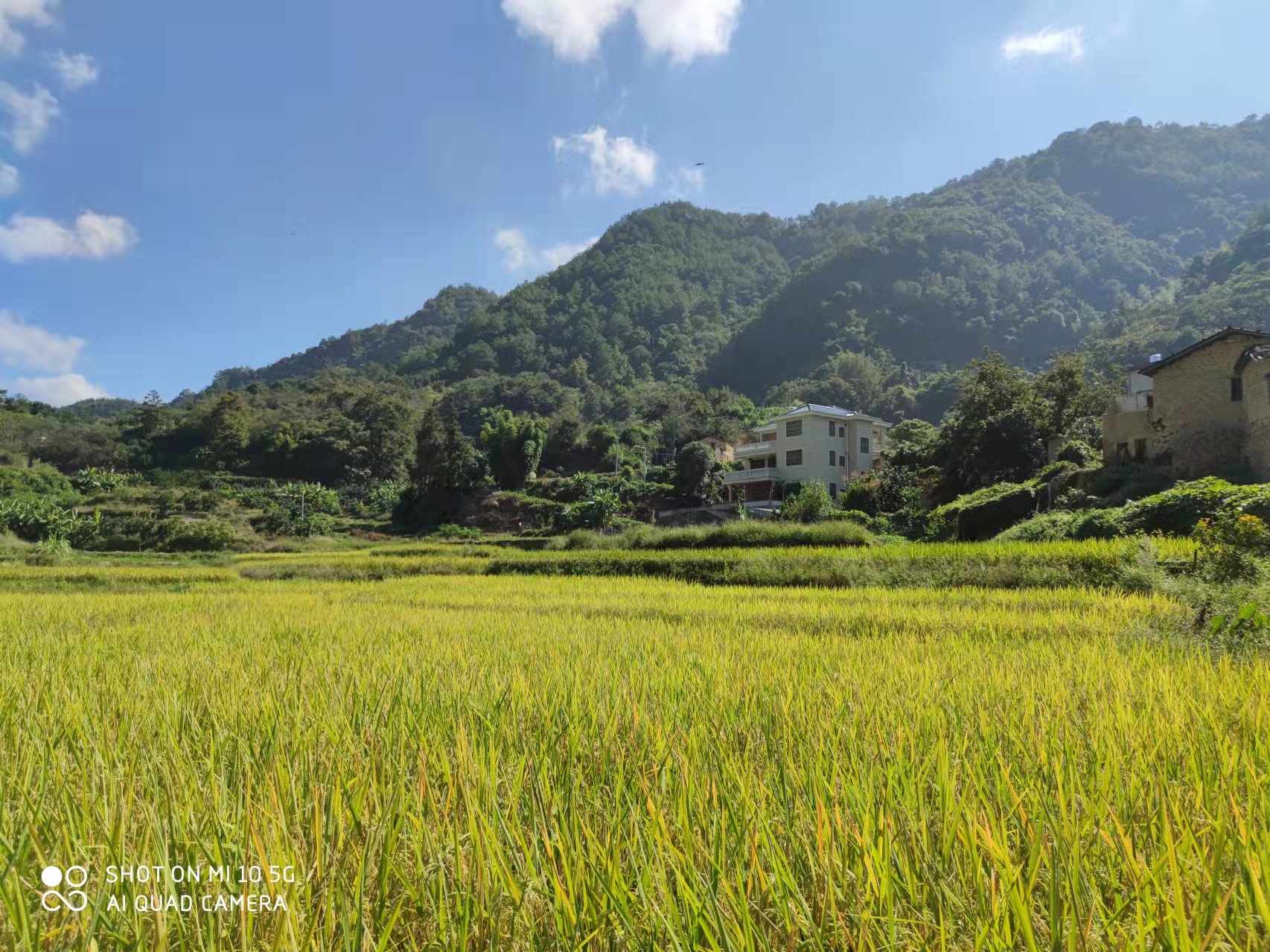 恢复（增补）耕地项目怎么干？？？？？优德88有话说