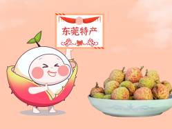 漫话优德88丨一颗有“故事”的荔枝！