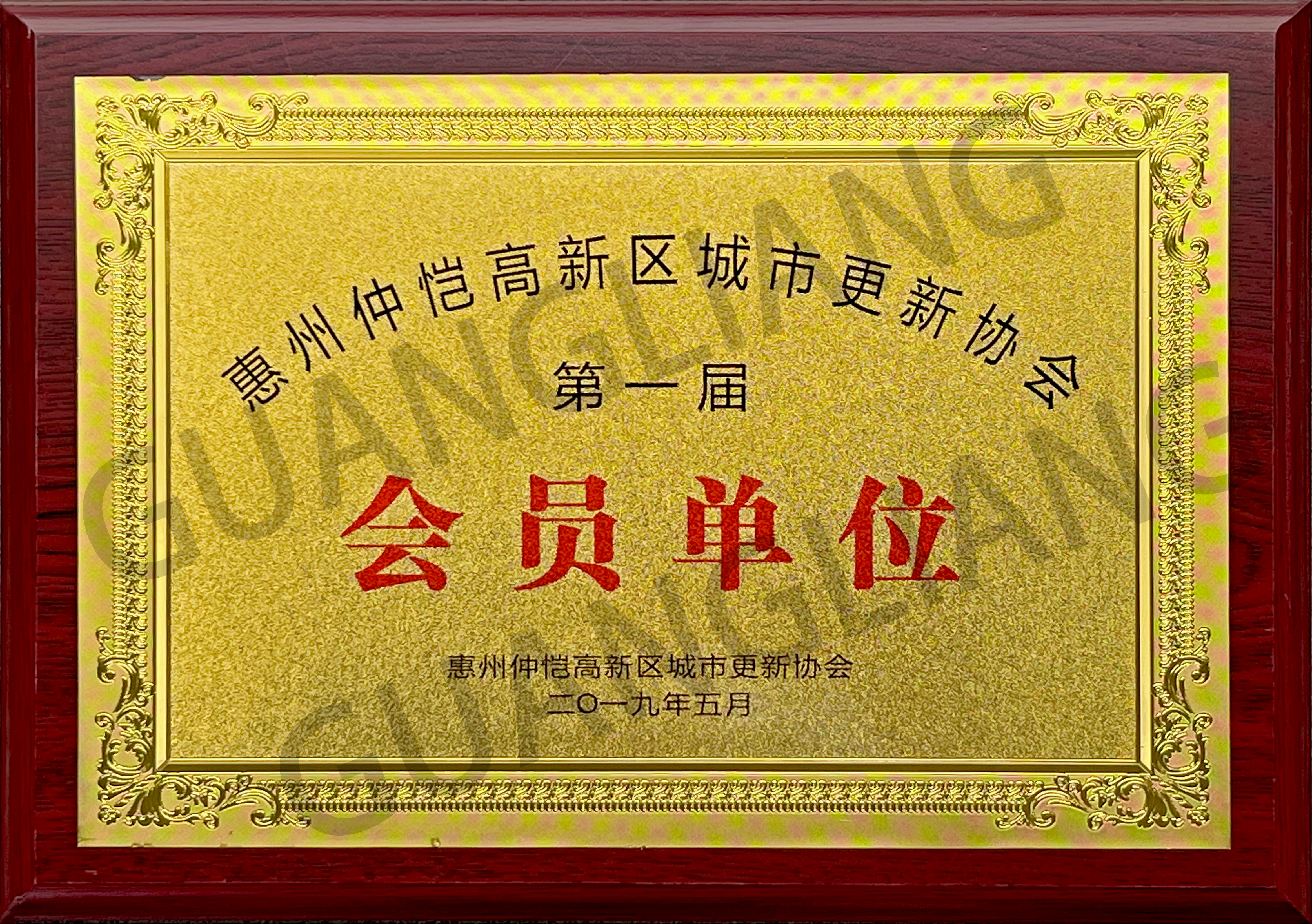 惠州仲恺高新区都会更新协会第一届会员单位
