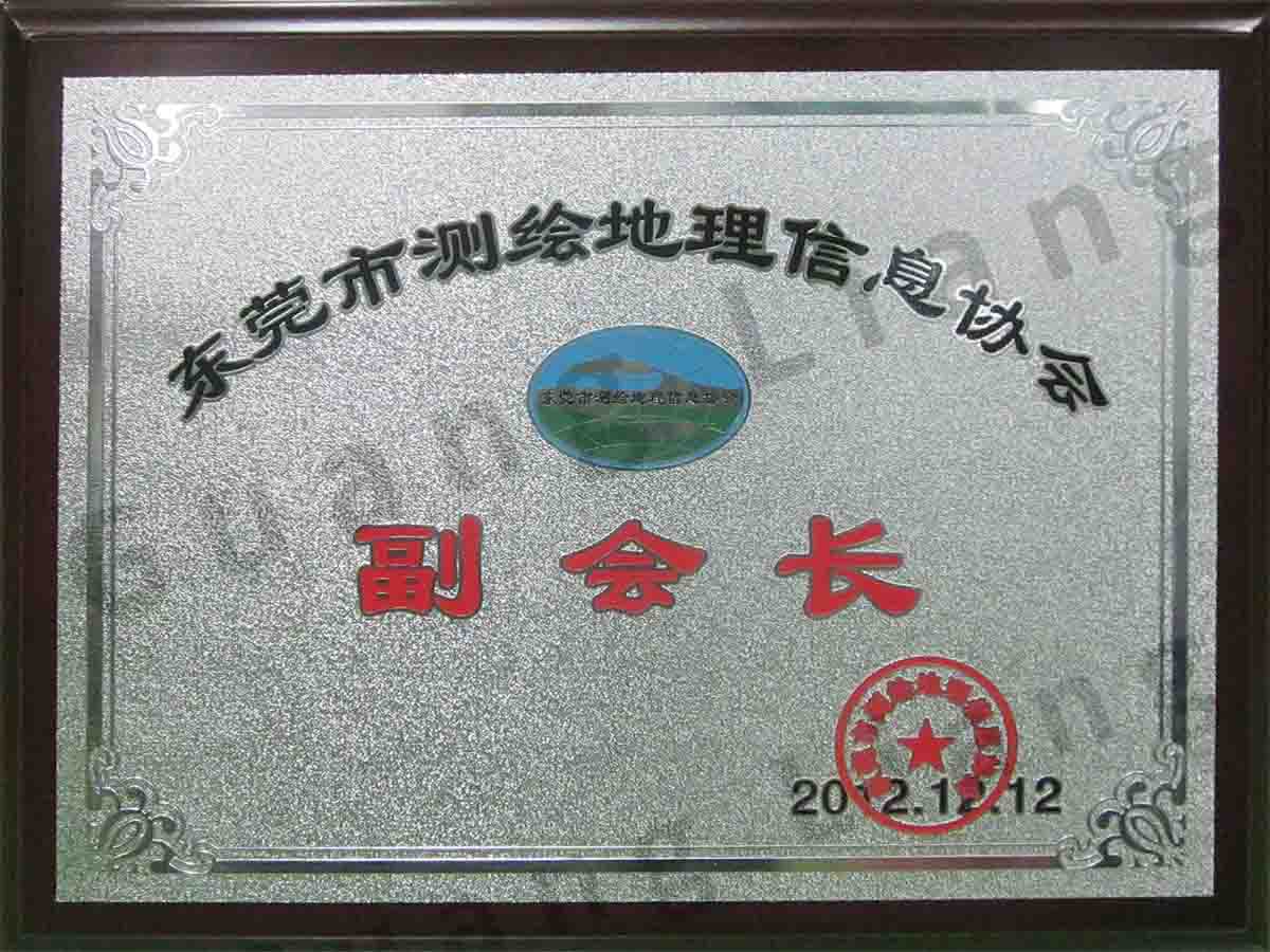 东莞市测绘地理信息协会副会长单位