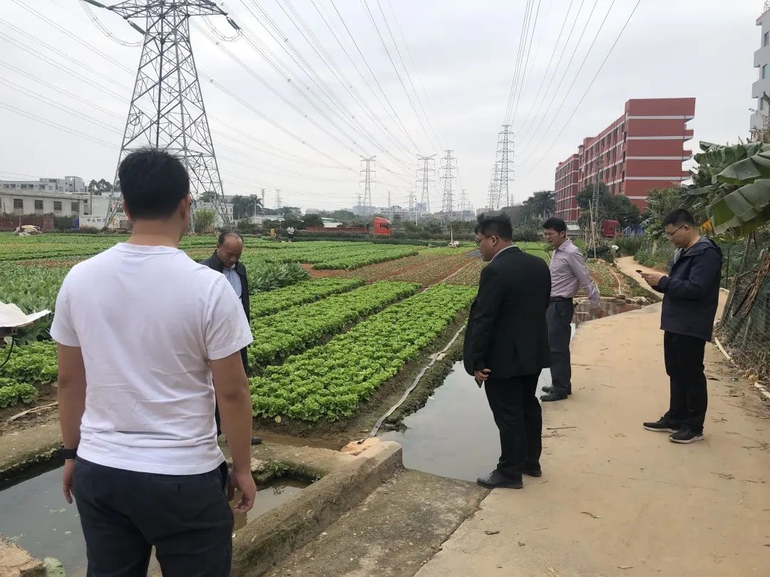 助力墟落振兴，，优德88一直在起劲！