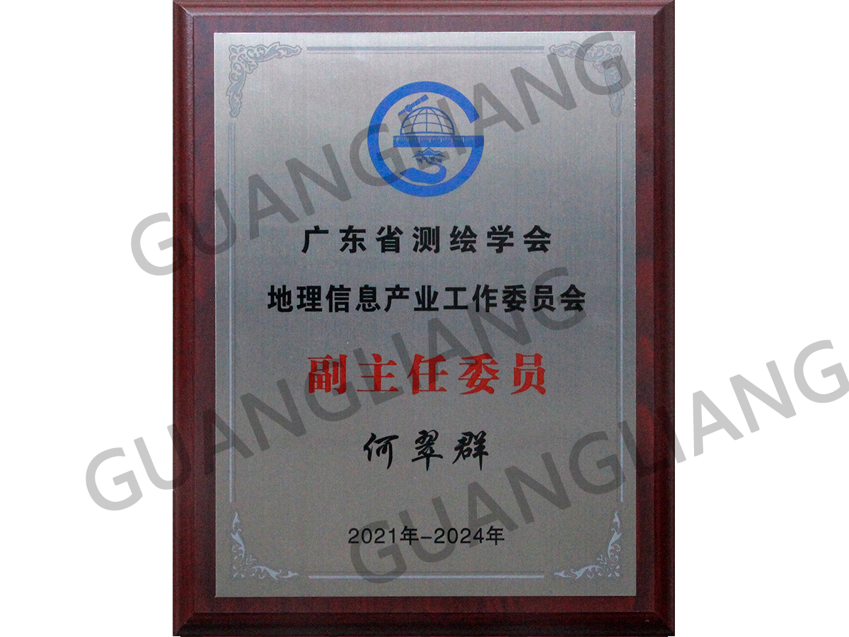 广东省测绘学会地理信息工业事情委员会副主任委员
