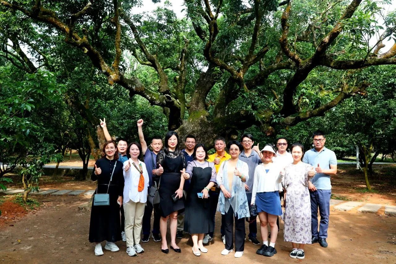 优德88集团作为省领土空间生态修复协会轮值会长带队调研粤西全域土地综合整治事情