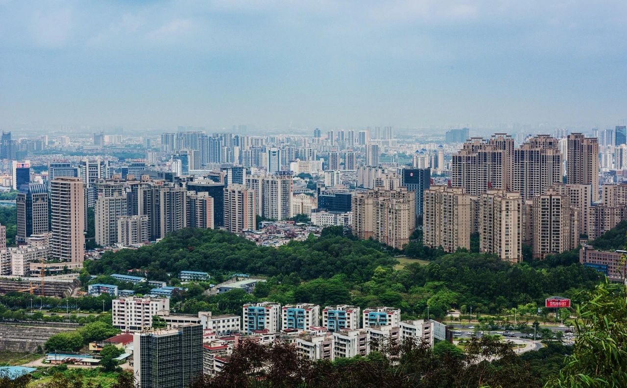 量圈丨东莞新章：在旧时光里生长未来